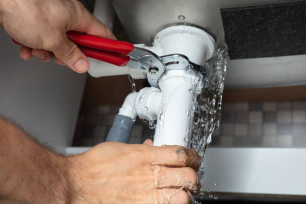 Best Water damage cleanup near me  in West Puente Valley, CA