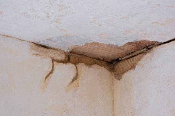 Best Flood restoration services  in West Puente Valley, CA