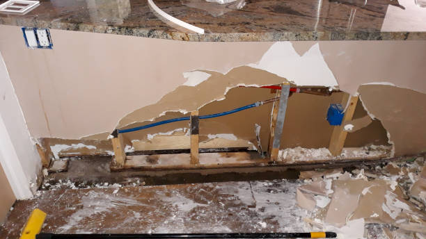 Best Water damage restoration process  in West Puente Valley, CA