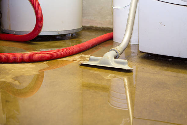 Best Water damage restoration services  in West Puente Valley, CA