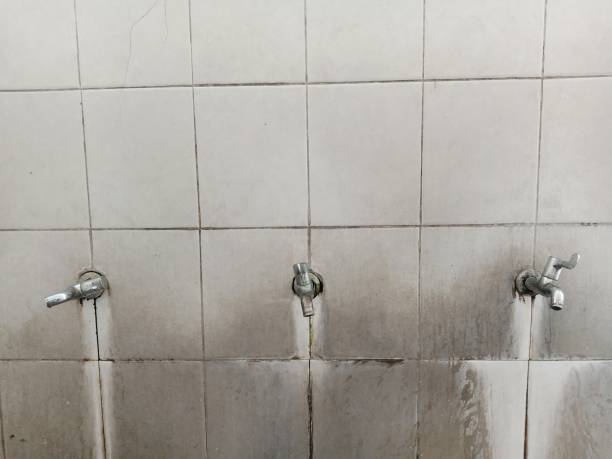  West Puente Valley, CA Water damage restoration Pros