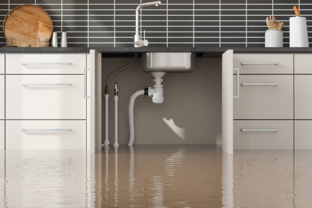 Best Local water damage restoration  in West Puente Valley, CA