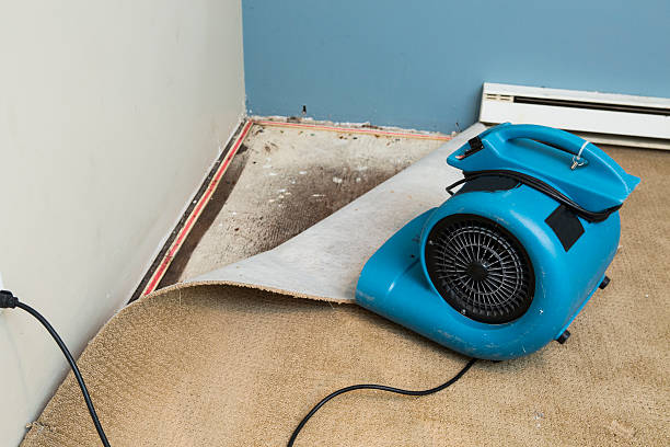 Best Water damage restoration near me  in West Puente Valley, CA